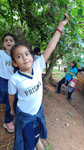 Bicho Mania 2022